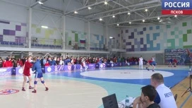 The North-West Federal District Sambo Championship took place in Pskov as part of the "United Russia" party project "Choice of the Strong".