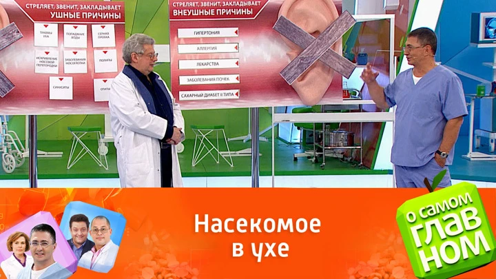 О самом главном Совет врача: что делать, если в ухо попало насекомое