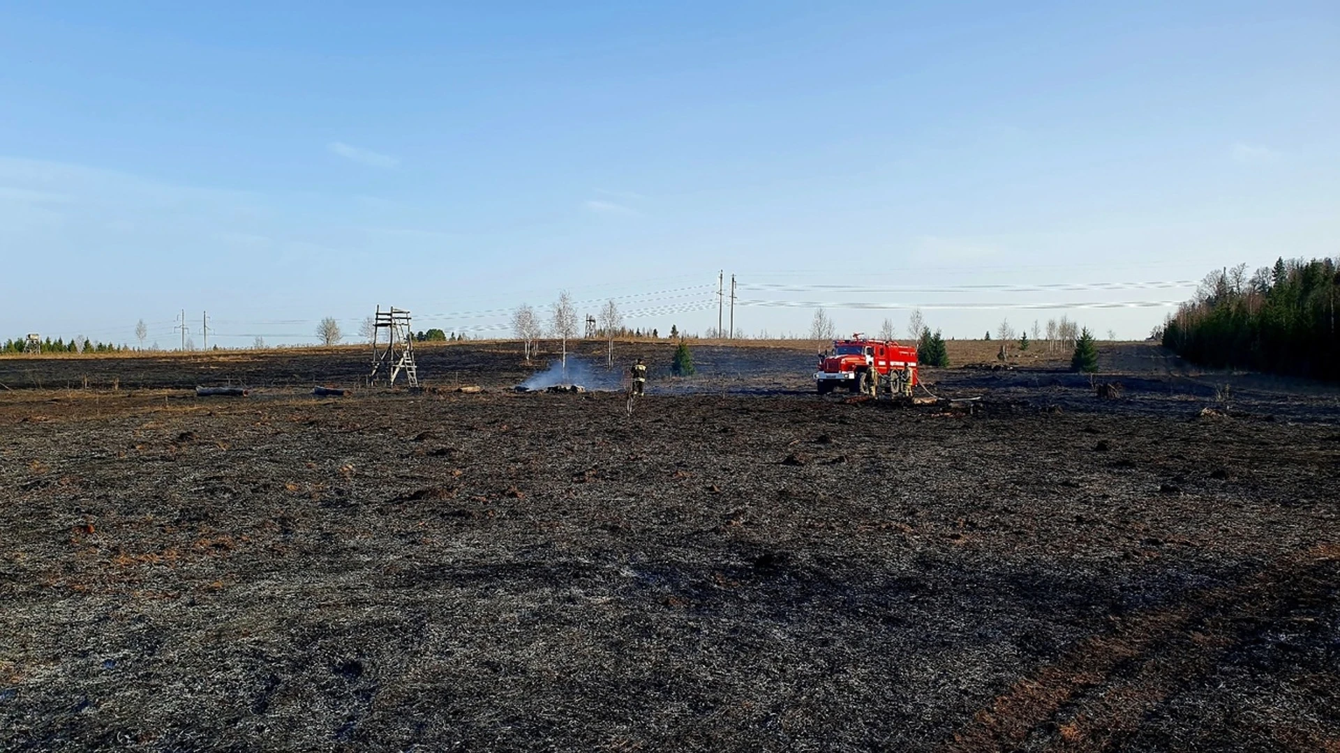 Ландшафтный пожар площадью 66 квадратных метров произошел в Удмуртии