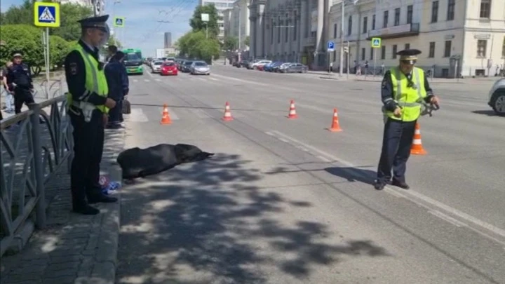 ЧП Смертельное ДТП с троллейбусом в Екатеринбурге попало на видео