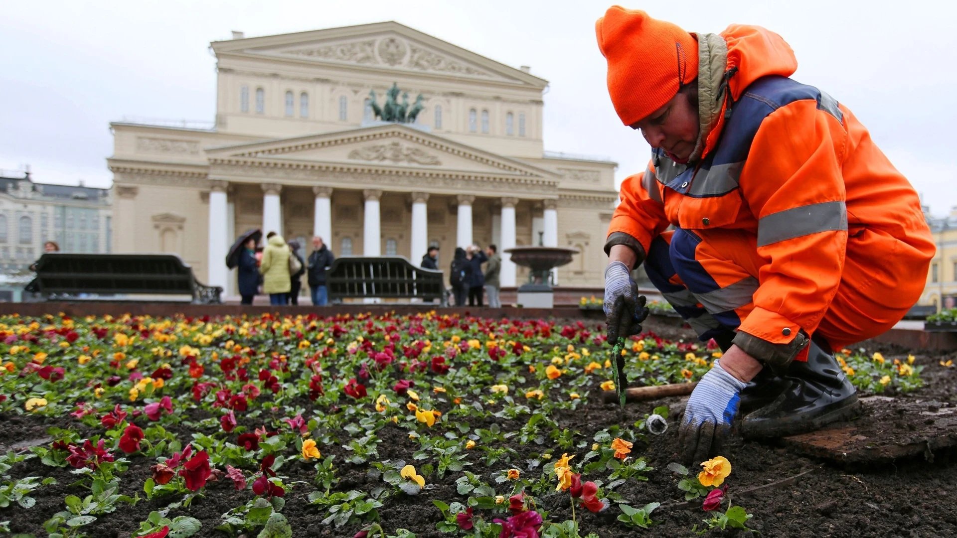 За год в Москве высадят более 56 миллионов цветов