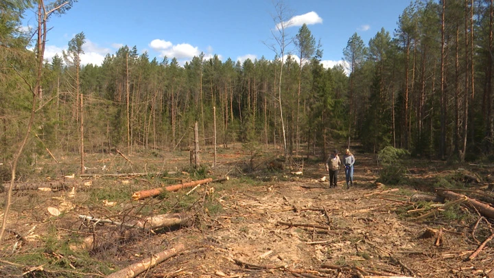 Вести. Псков Эфир от 27.05.2022 (14:30)