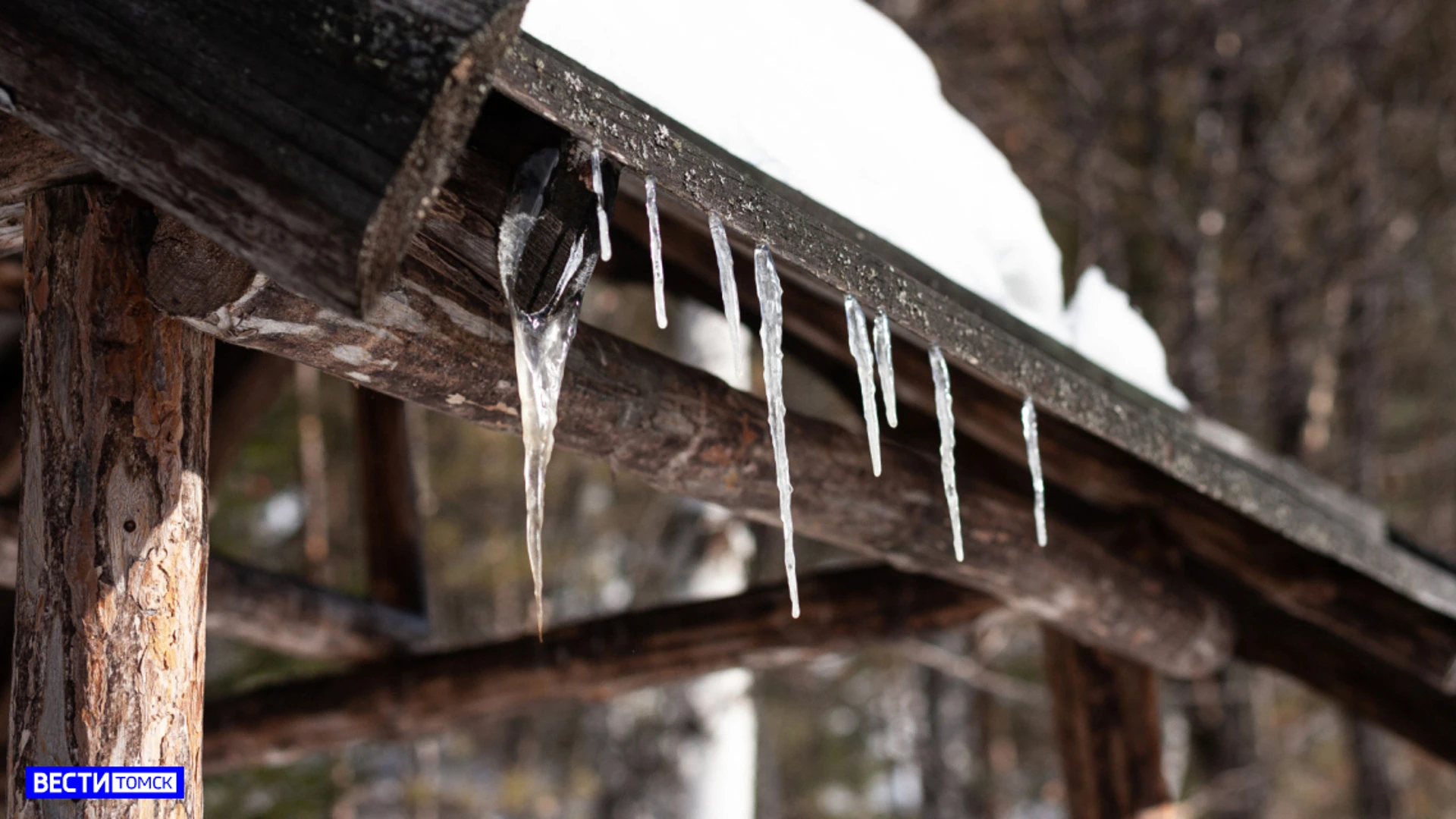 Теплее нормы, но с осадками: в конце марта в Томске ожидается +12°C