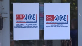 "Мобильный избиратель": волгоградцам рассказали, как проголосовать по месту нахождения