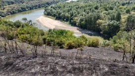 На Кубани потушили крупный лесной пожар