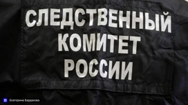 В Томске возбуждено уголовное дело о хищении 5,5 млн рублей при выполнении нацпроекта "Экология"