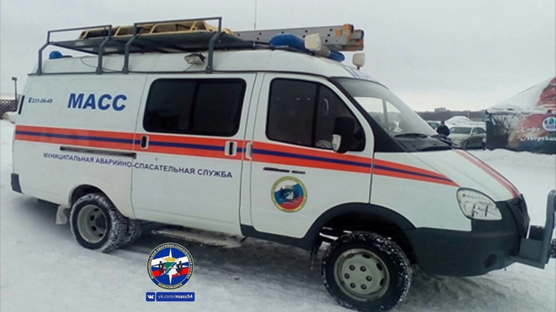 Провалившуюся в промоину собаку спасли на Новосибирском водохранилище