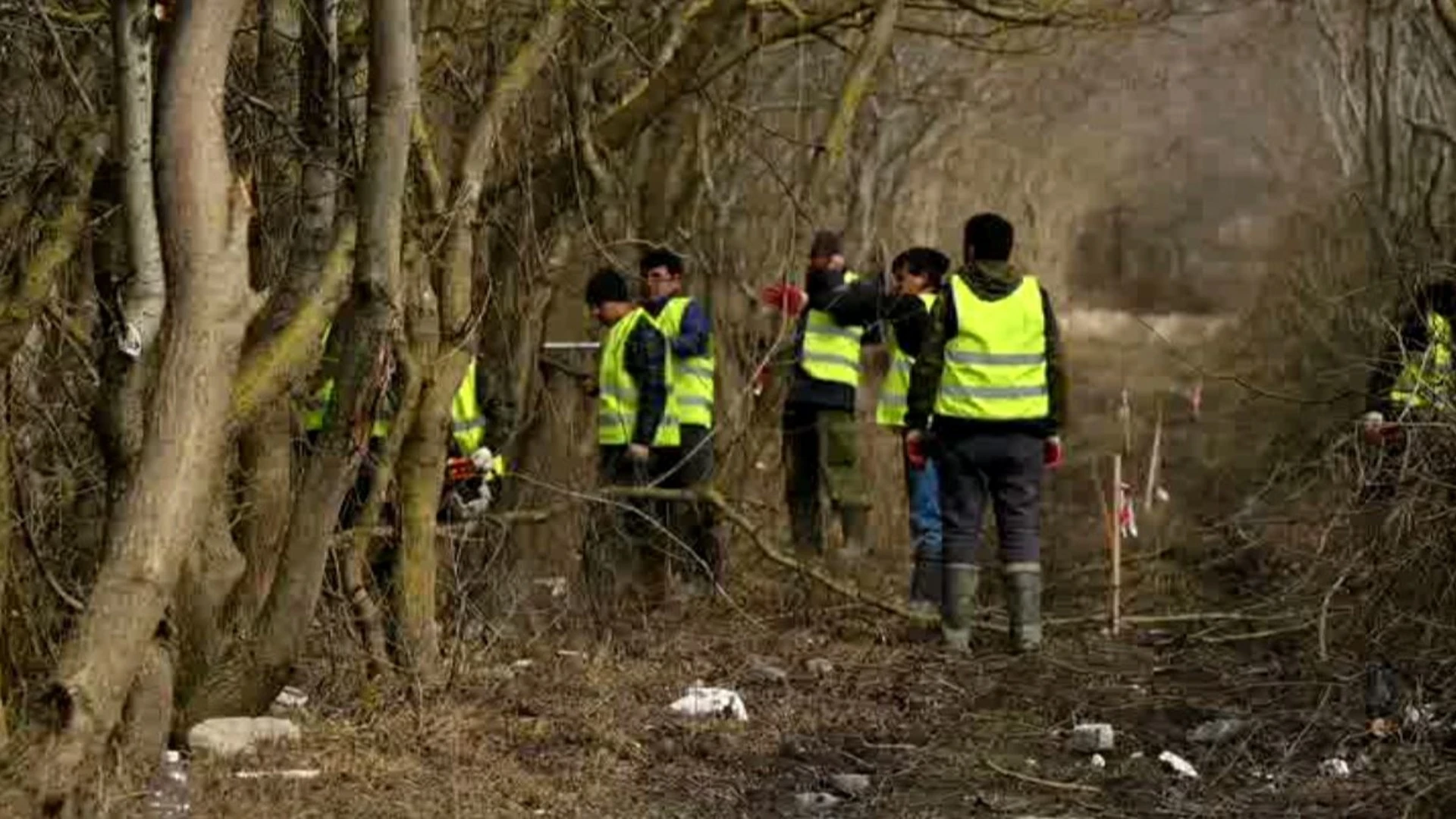 W Gelendzhik na przylądku Thin zbudować nowy park