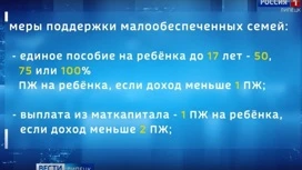 Налоговую выплату для родителей с низкими доходами введут в России в 2026 году