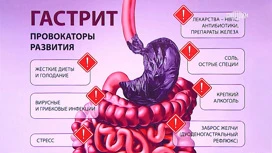 Врач Мясников: люди с первой группой крови чаще имеют язву желудка