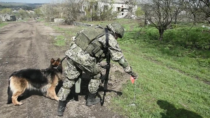 Новости Российские саперы разминировали поля в Харьковской области