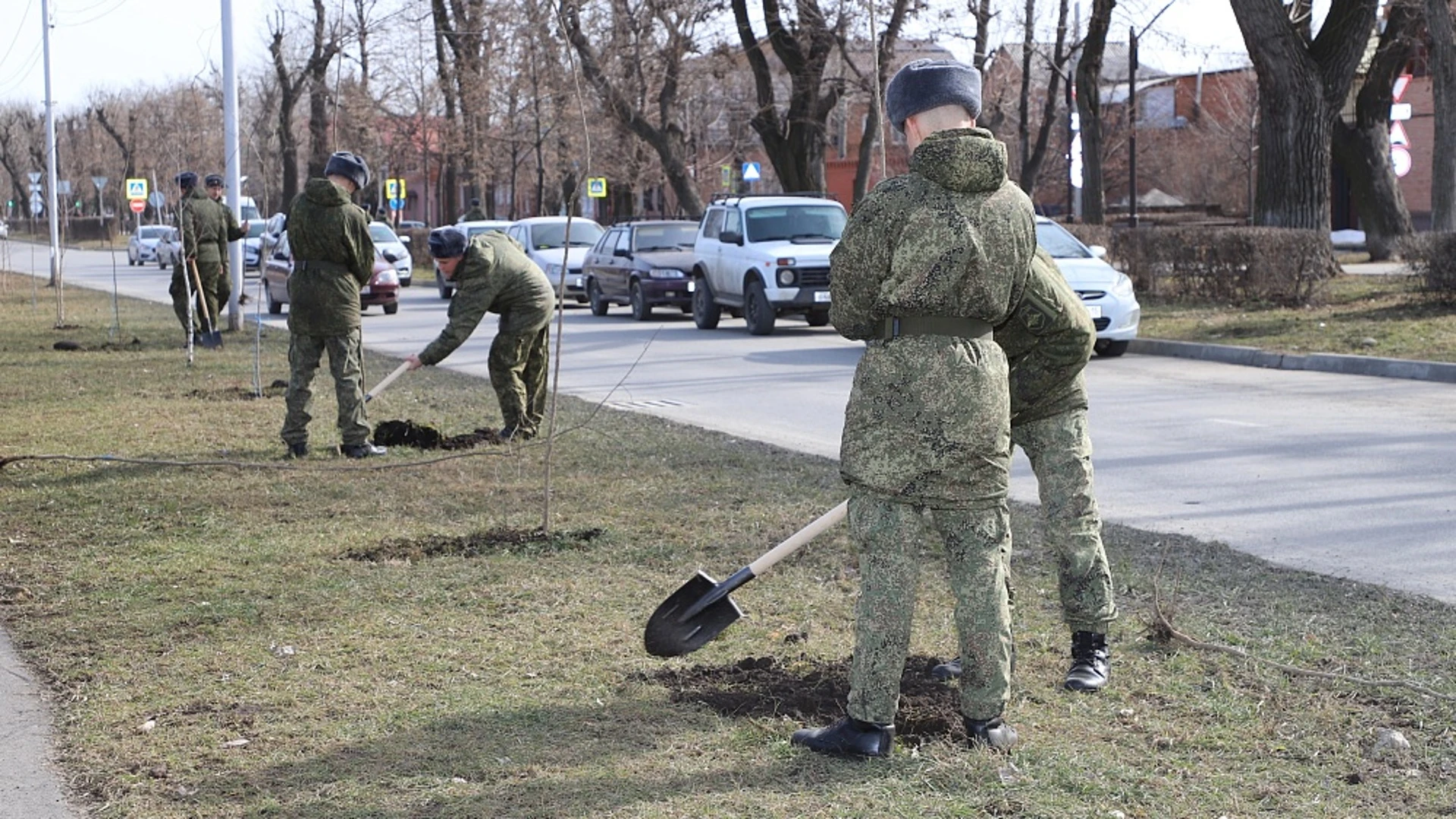 Зеленый фонд Владикавказа пополнят до тысячи деревьев и кустарников