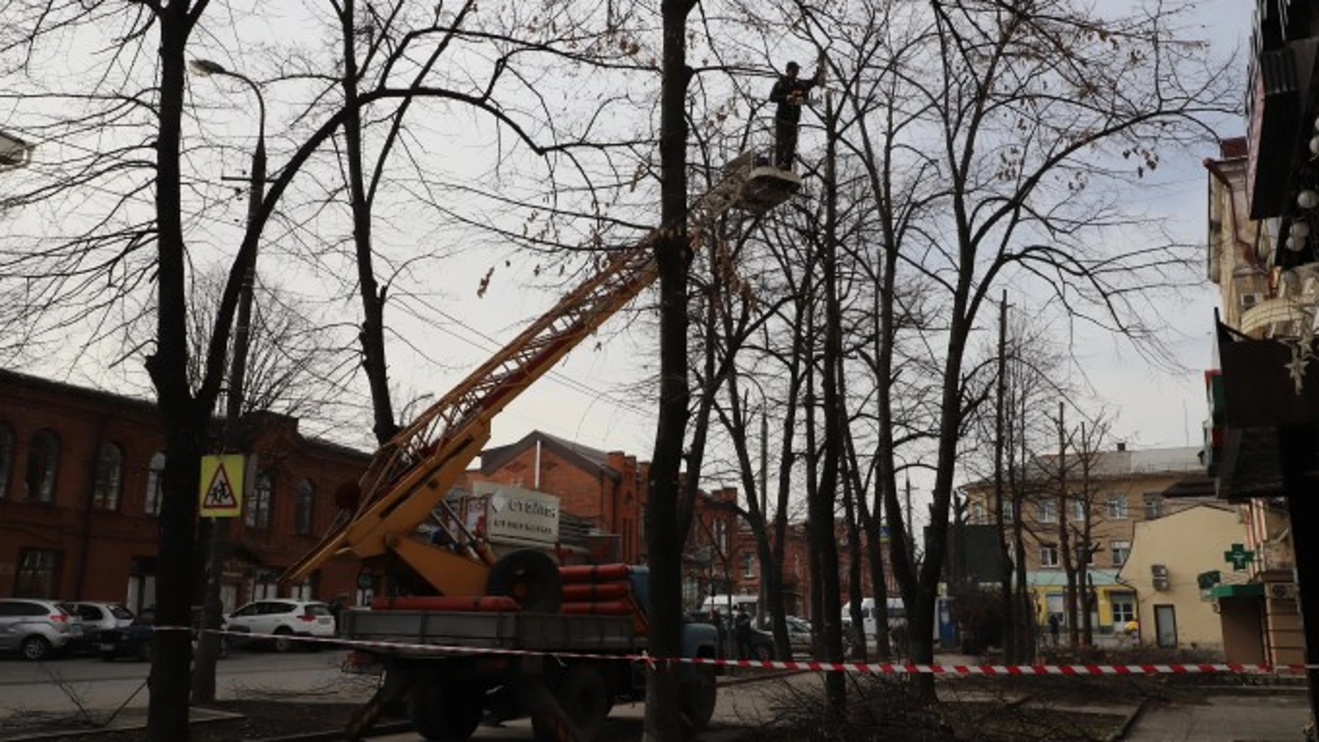 Во Владикавказе продолжается санитарная обрезка деревьев