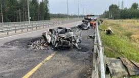 Четыре человека погибли в массовом ДТП с грузовиком на трассе М-11