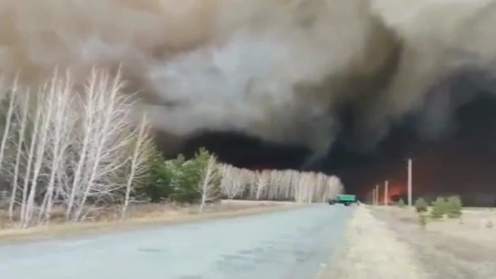 ЧП Масштабный лесной пожар под Омском попал на видео