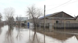 Паслер: пострадавшие в паводок с долей в другом жилье получили право на выплаты