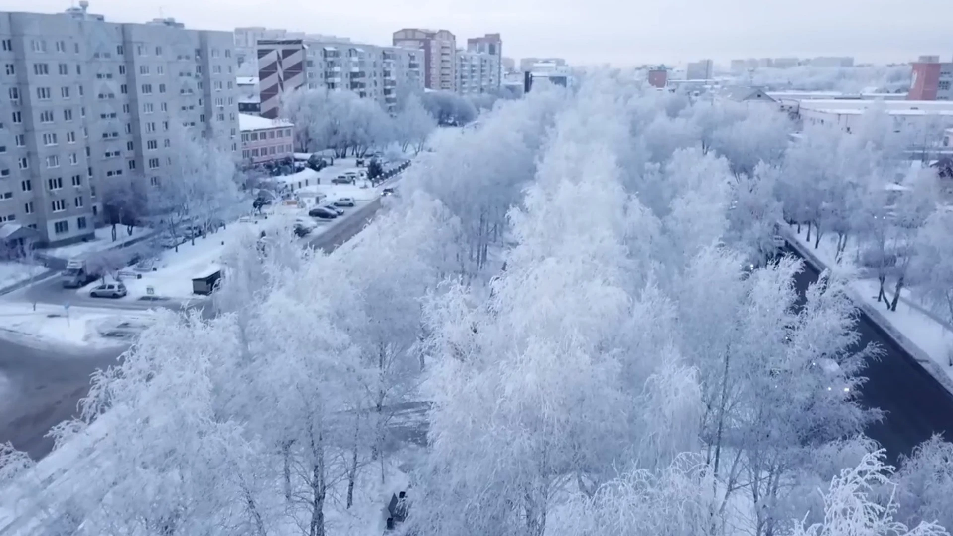 Морозно и без снегопада в Тюмени 8 февраля