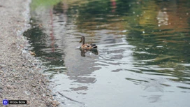 В Белое озеро в Томске начали доливать воду