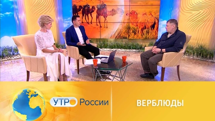 Утро России Иван Затевахин поделился любопытными сведениями о верблюдах