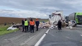 Четыре человека погибли в ДТП в Челябинской области