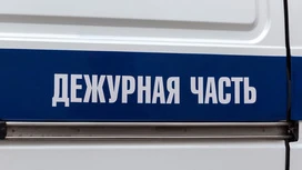 В России задержан гражданин Литвы, обвиняемый в педофилии