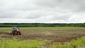 Сельхозпредприятие в Лухском районе вводит земли в севооборот