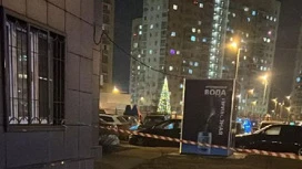 Шестилетняя девочка выпала из окна 9 этажа в Новой Москве