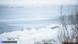 "Frozen, cara en sangre": un hombre muerto encontrado en el banco de Ushaika en Tomsk