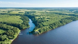 В лесах и на торфяниках Ивановской области введут особый противопожарный режим