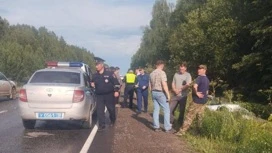 В Удмуртии после гибели мальчика в ДТП организована проверка