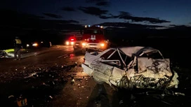 В Челябинской области пять человек погибли в ДТП