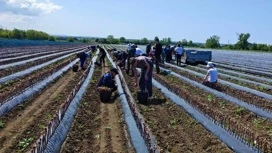 Приемная кампания в колледжи и техникумы края заканчивается через 10 дней